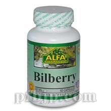 ALFA Bilberry {(ln)ݮȡz500mg 60